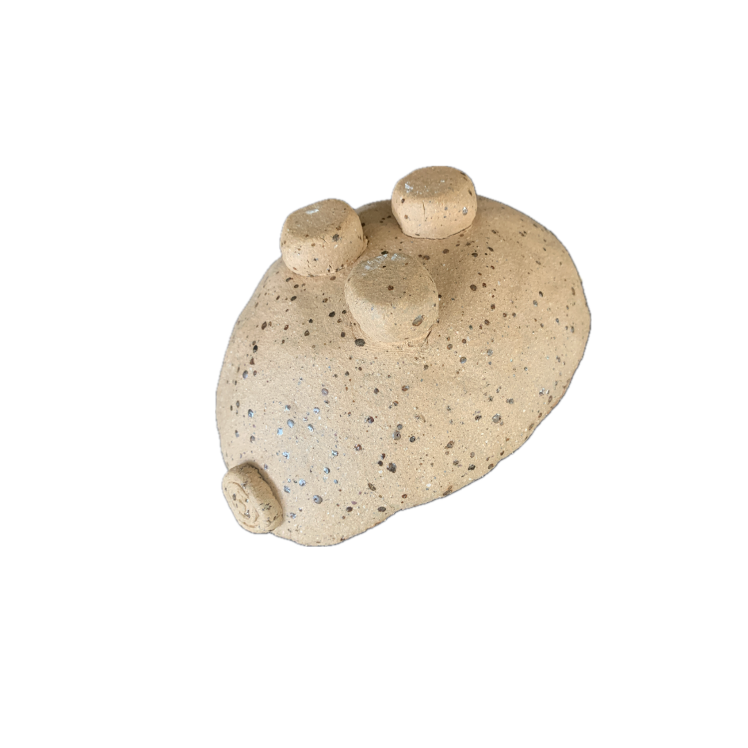 FLINTSTONE DESIGNS | ‘Shiny Granite Critter' | Ceramic