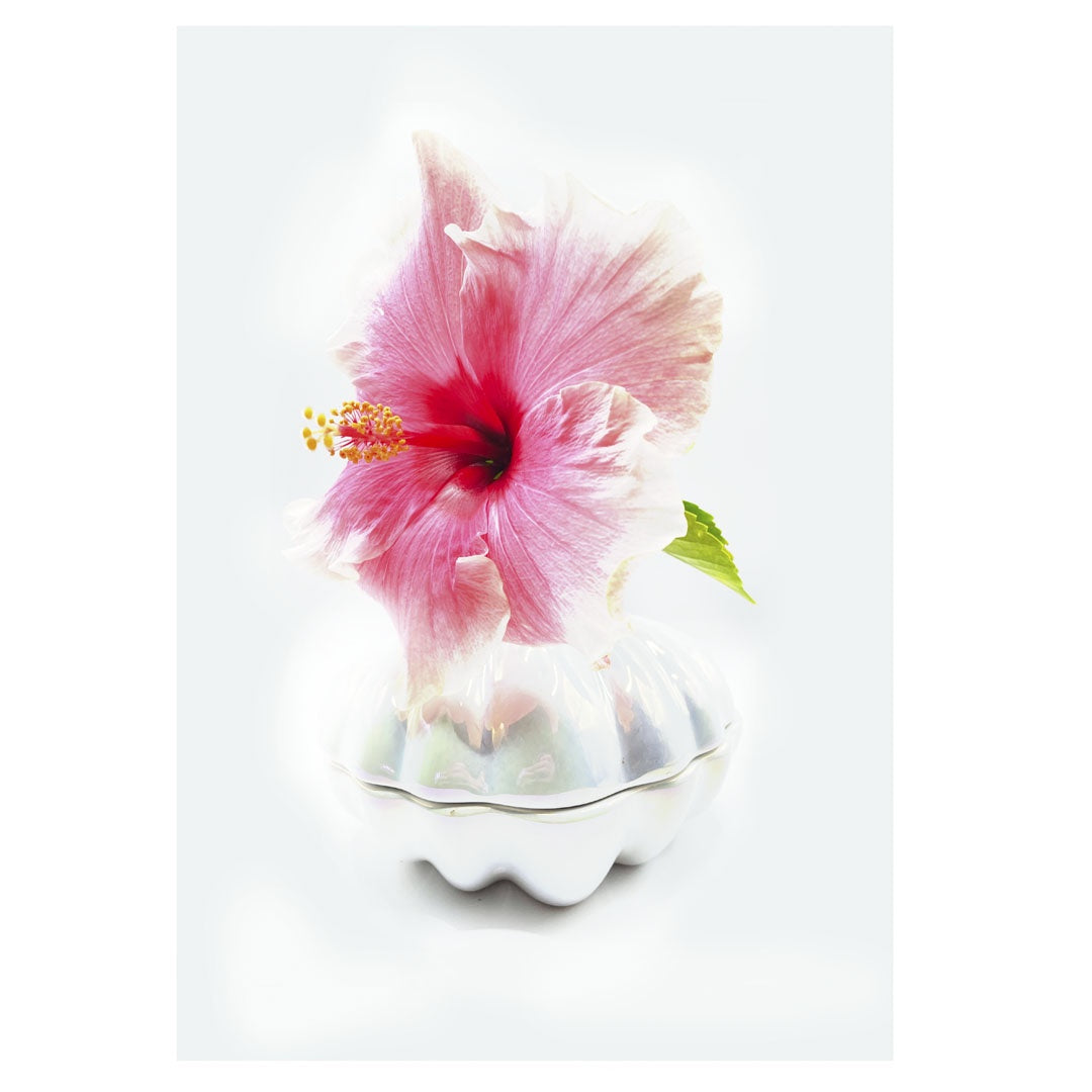 HANNAH MURRAY | 'Sunshine Noir #8' | 2025 | Giclee print on Hahneműhle German Etching paper | Edition of 5 | H 420 x W 297 mm