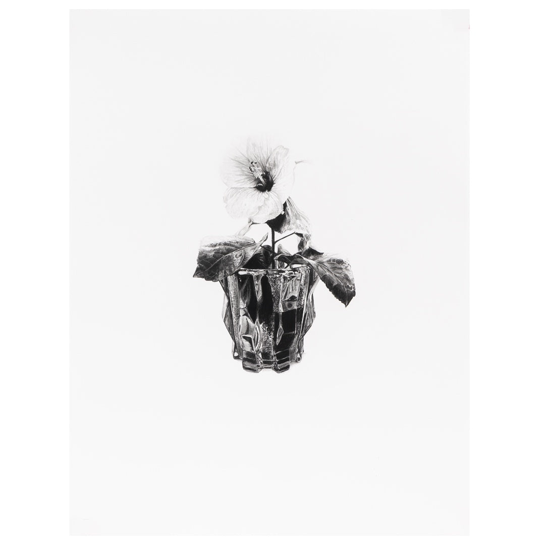 HANNAH MURRAY | 'Light, dark and light again' | 2025 | graphite on paper | H 720 x W 540 mm