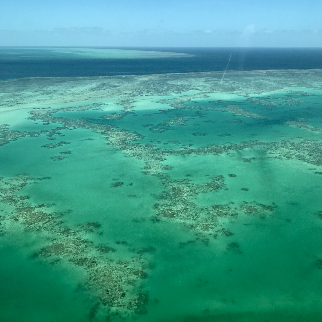 KIM NOLAN | #41 Aerial of Low Island reef | 2025 | photographic print | H100 x W100