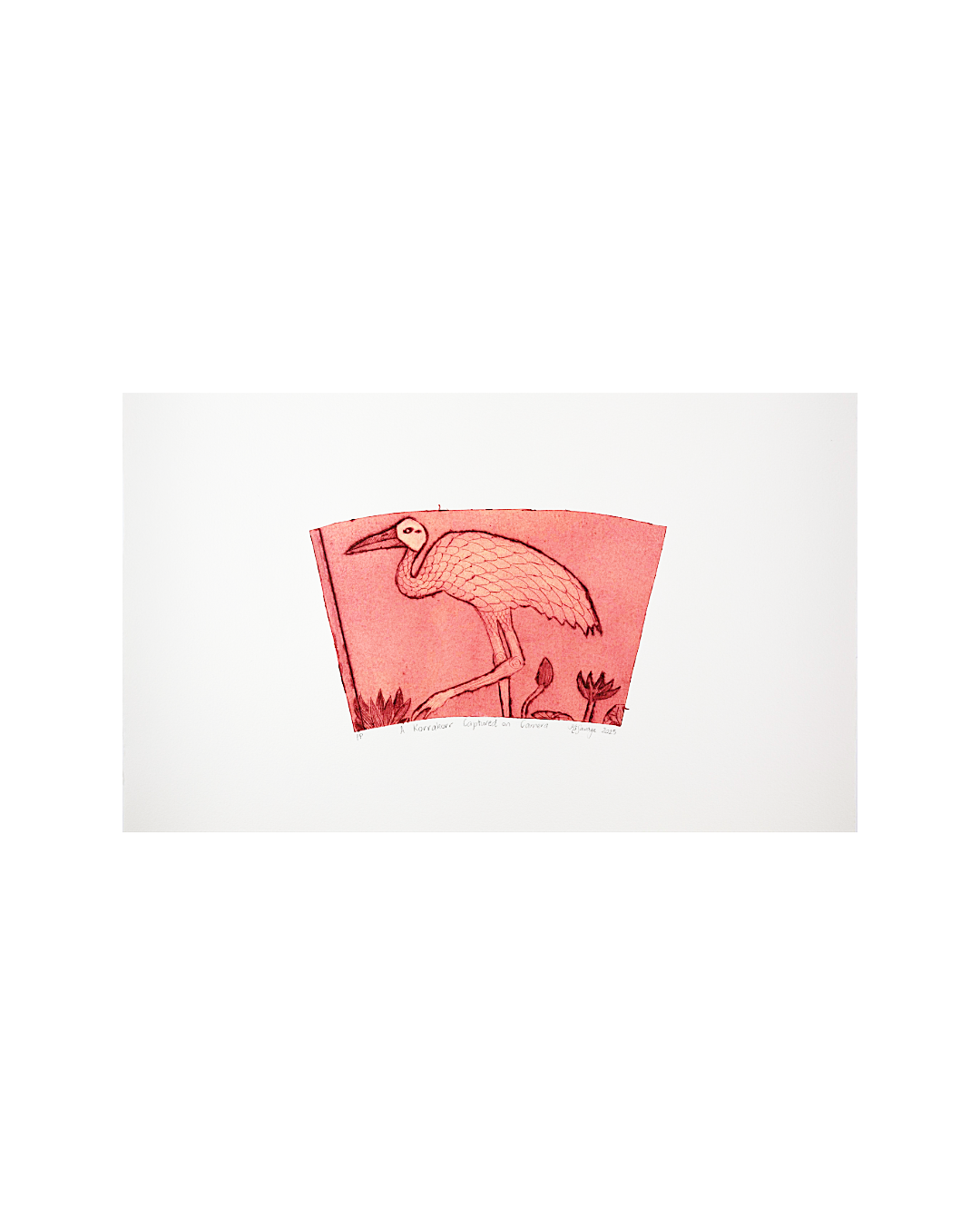 KASSANDRA SAVAGE | 'A Korrakorr Captured on Camera' | Drypoint etching