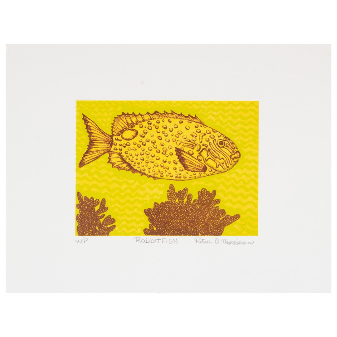 PETER B MORRISON | 'Rabbitfish (II)' | 2026 | Plate lithograph | H 143 x W 194 mm