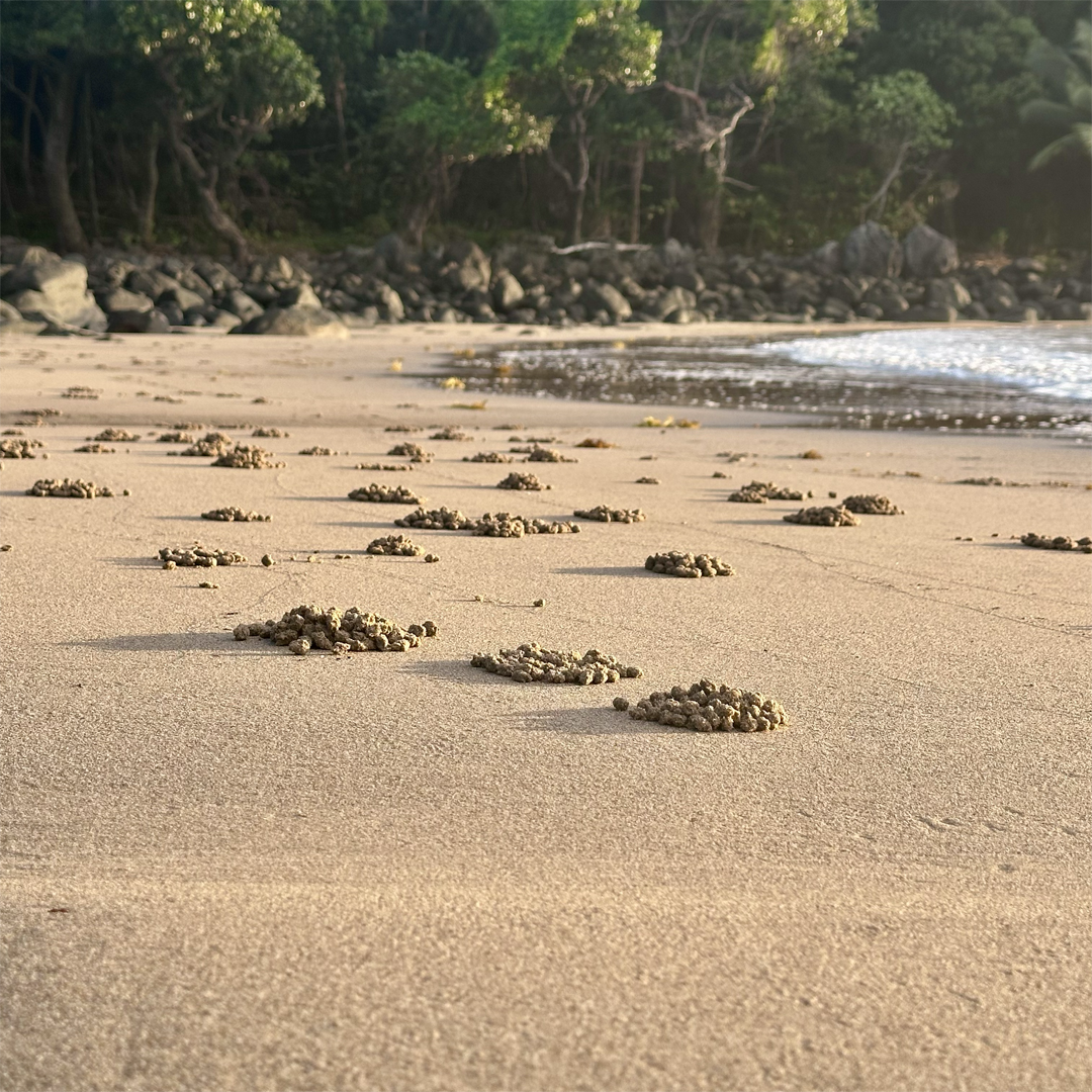 KIM NOLAN | #92 Low tide, Mission Beach | 2025 | photographic print | H100 x W100