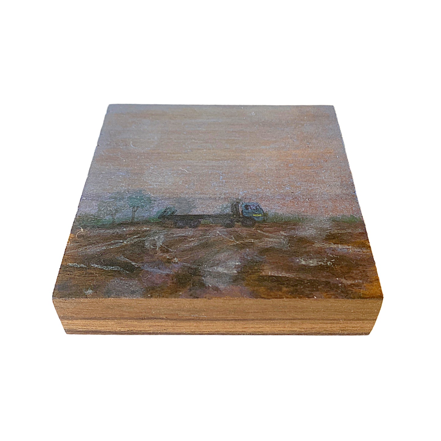ANNIKA HARDING | ‘Weather (Driving Rain)’ | Acrylic on black walnut timber