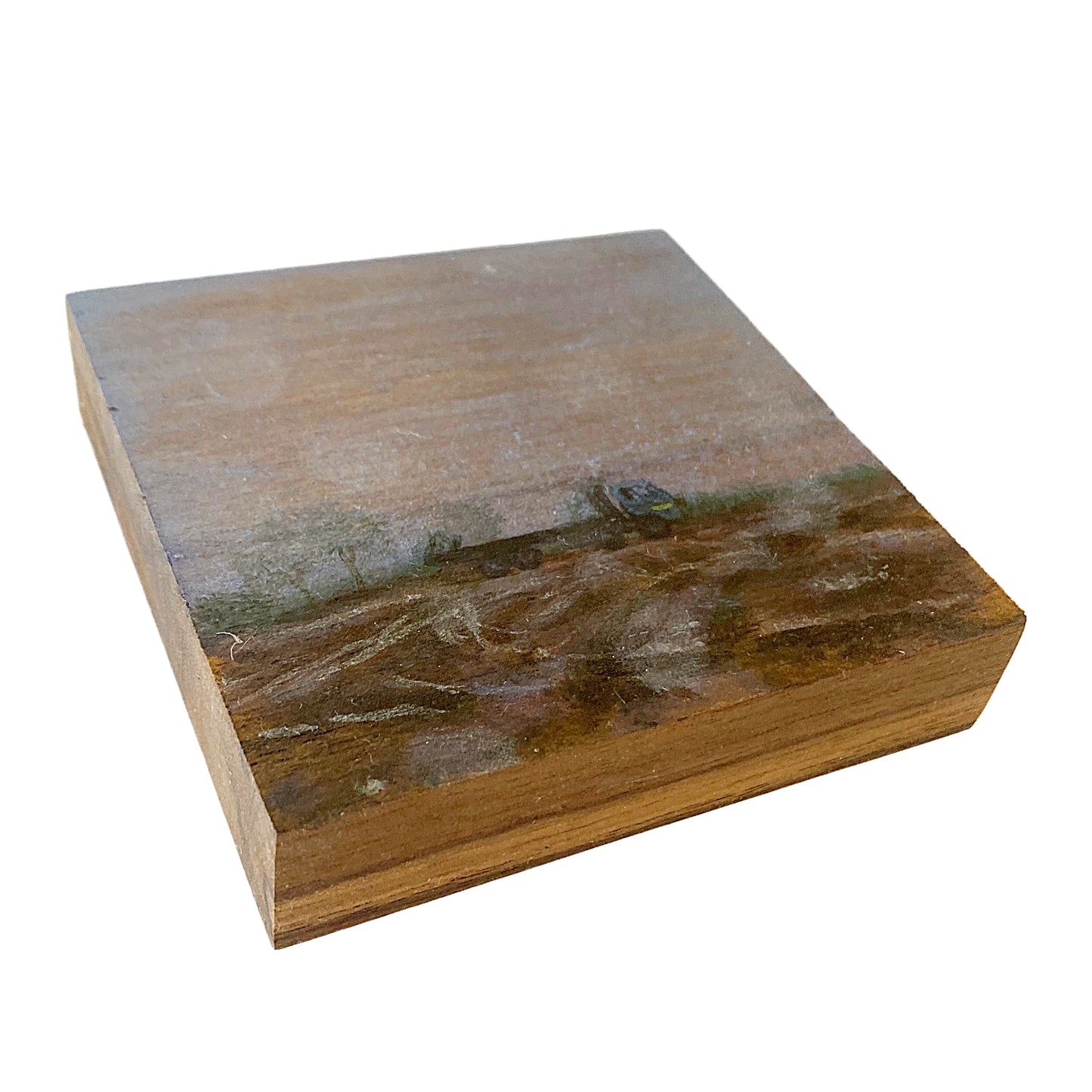 ANNIKA HARDING | ‘Weather (Driving Rain)’ | Acrylic on black walnut timber