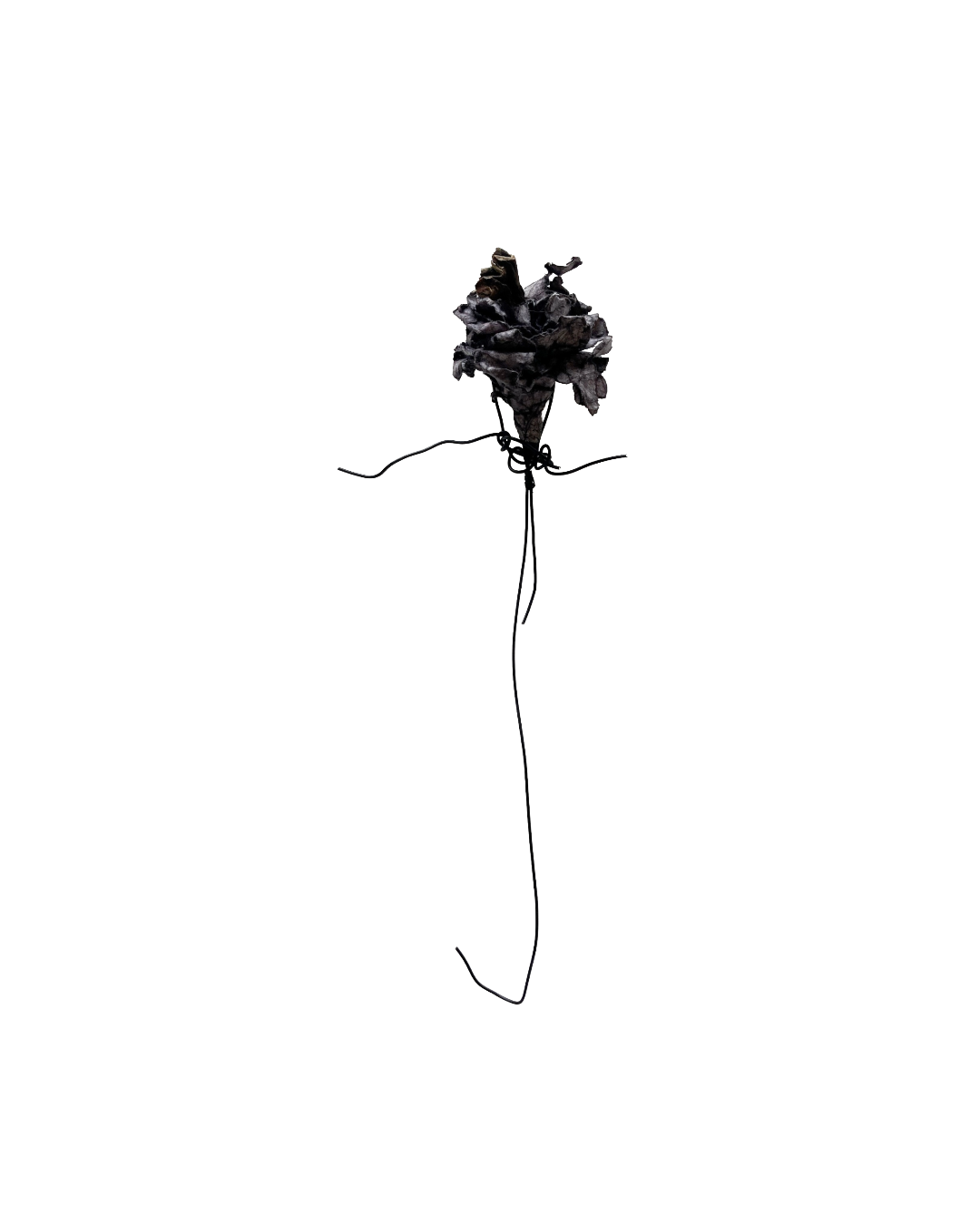 PAMELA KUSABS | ‘Blossom (III)’ | 2025 | Paper / wire