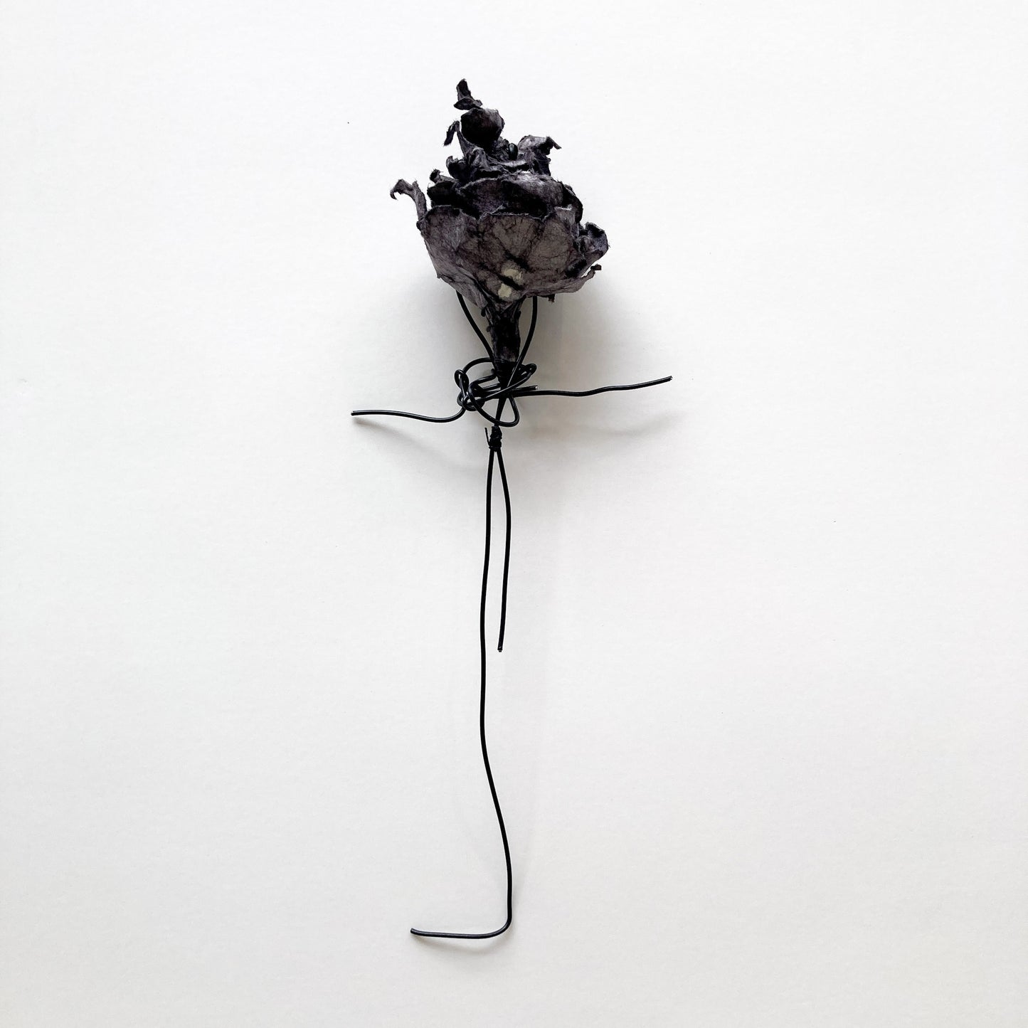 PAMELA KUSABS | ‘Budding (I)’ | 2025 | Paper / dried flower heads / stalk / wire