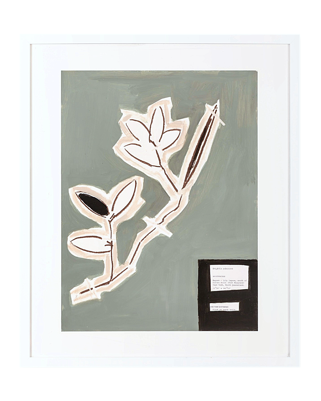 CLAUDINE MARZIK | ‘The Body Language of Plants No. 44’ | Acrylic on paper