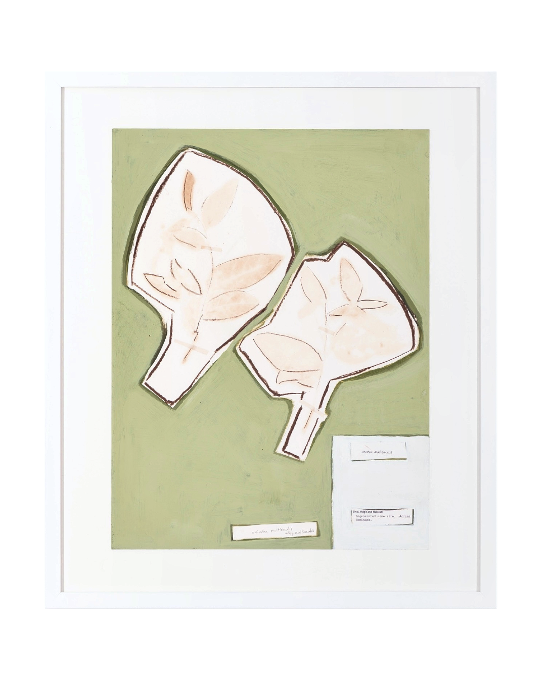 CLAUDINE MARZIK | ‘The Body Language of Plants No. 45’ | Acrylic on paper / framed