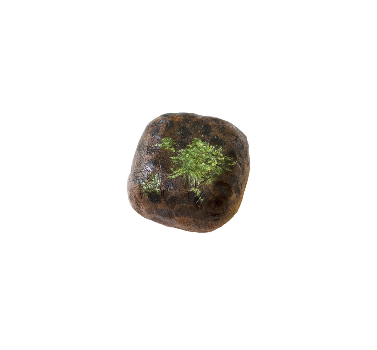 ANNIKA HARDING | 'Close looking (Mossy rock, Topaz)' | 2026 | Acrylic on timber offcut |45 x 45 x 30 mm