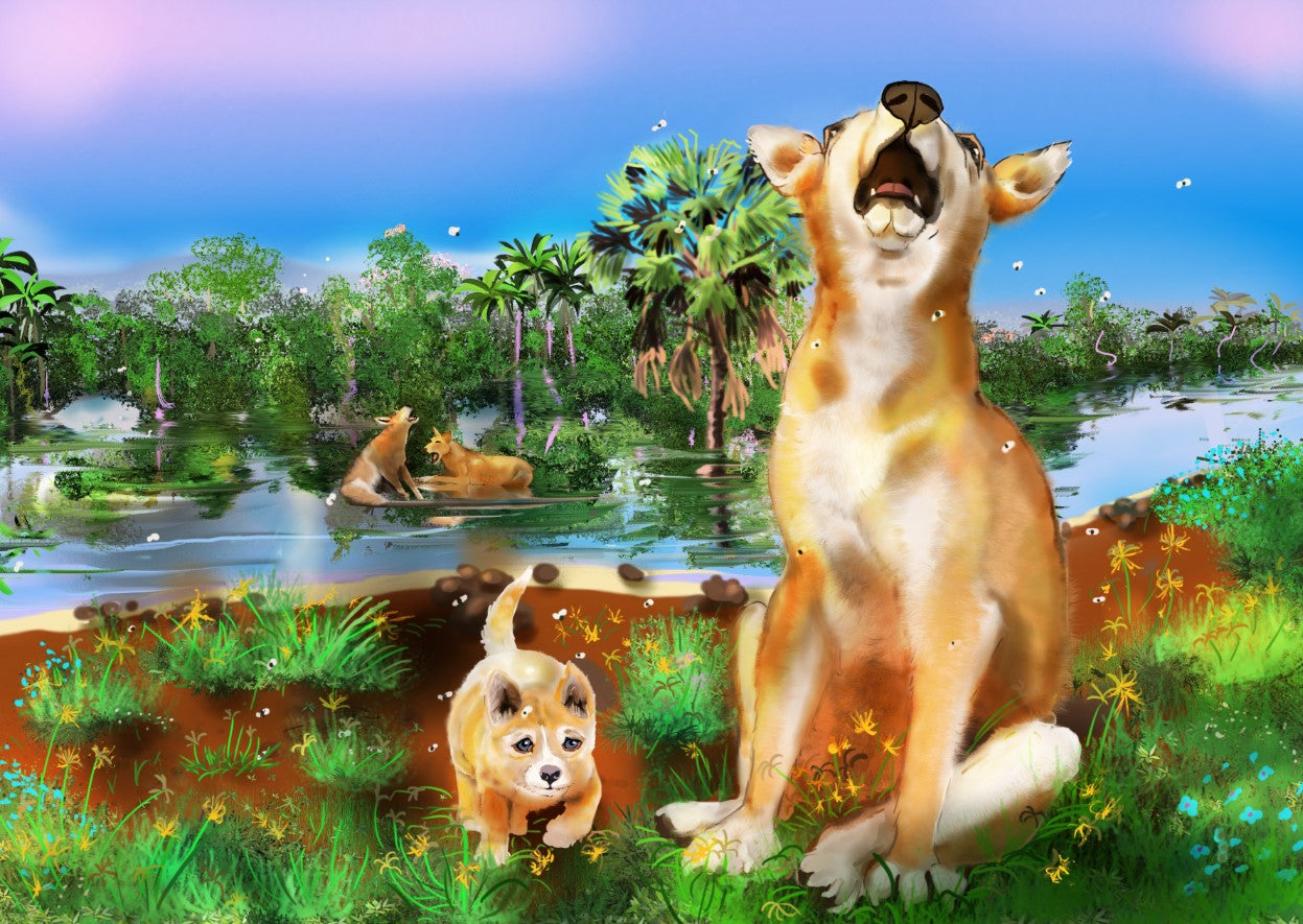 MARK SIMMONS | 'Burp the Humpback Whale' | Children's book