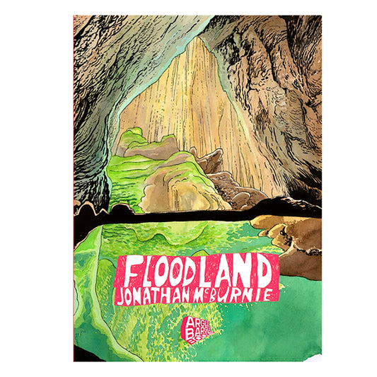 JONATHAN MCBURNIE | 'Floodland' | Illustrated book