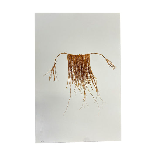 IVY MINNIECON | 'Wuri' | Monoprint - varied edition 2/4