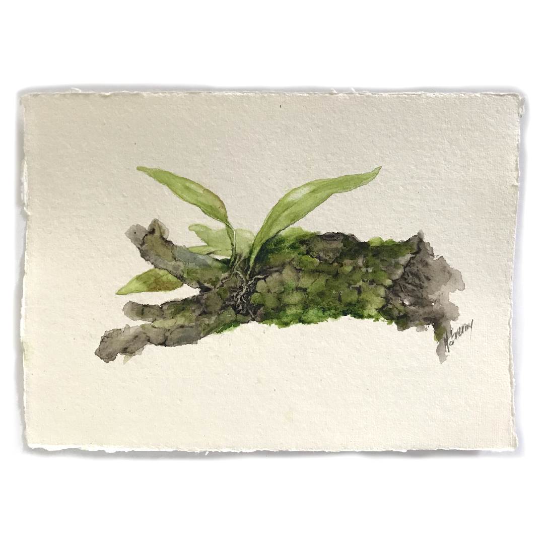 JULIE MCENERNY | 'Little Stick #68' | Little Stick Series | Watercolour drawing on handmade paper