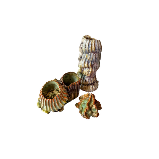 KIM NOLAN | ‘Limpet, Sea Anemone + Coral Tube set #23’ | White clay / glaze / underglaze / oxides / sand