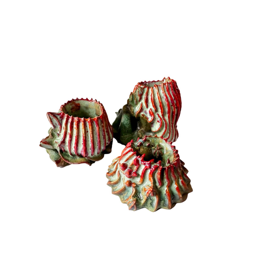 KIM NOLAN | ‘Limpet, Sea Anemone + Coral Tube set #24’ | White clay / glaze / underglaze / oxides / sand