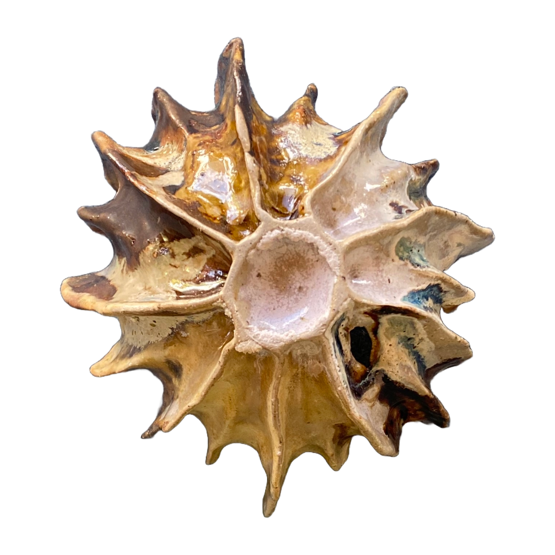 KIM NOLAN | ‘Seed Pod Bowl #6’ | Mid-fire clay / glaze / stain