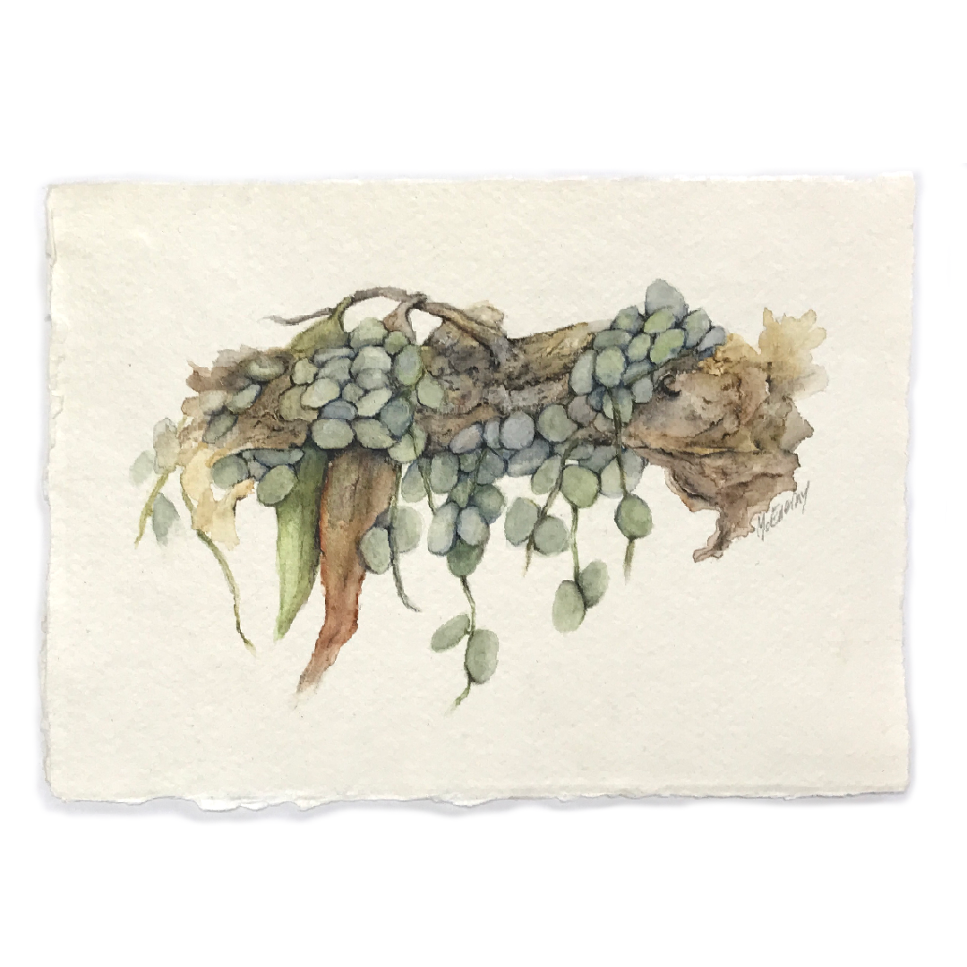 JULIE MCENERNY | 'Little Stick #71' | Little Stick Series | Watercolour drawing on handmade paper