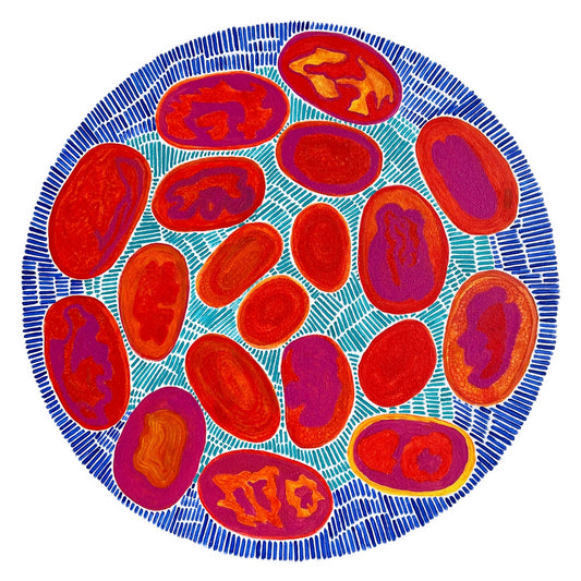 AGNES  KOHLER | ‘Somewhere On Country’ | Acrylic on board