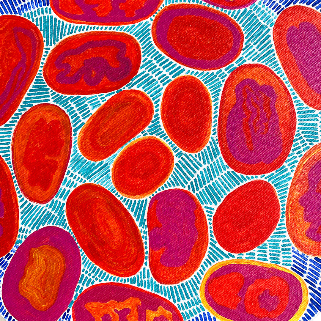 AGNES KOHLER | ‘Somewhere On Country’ | Acrylic on board