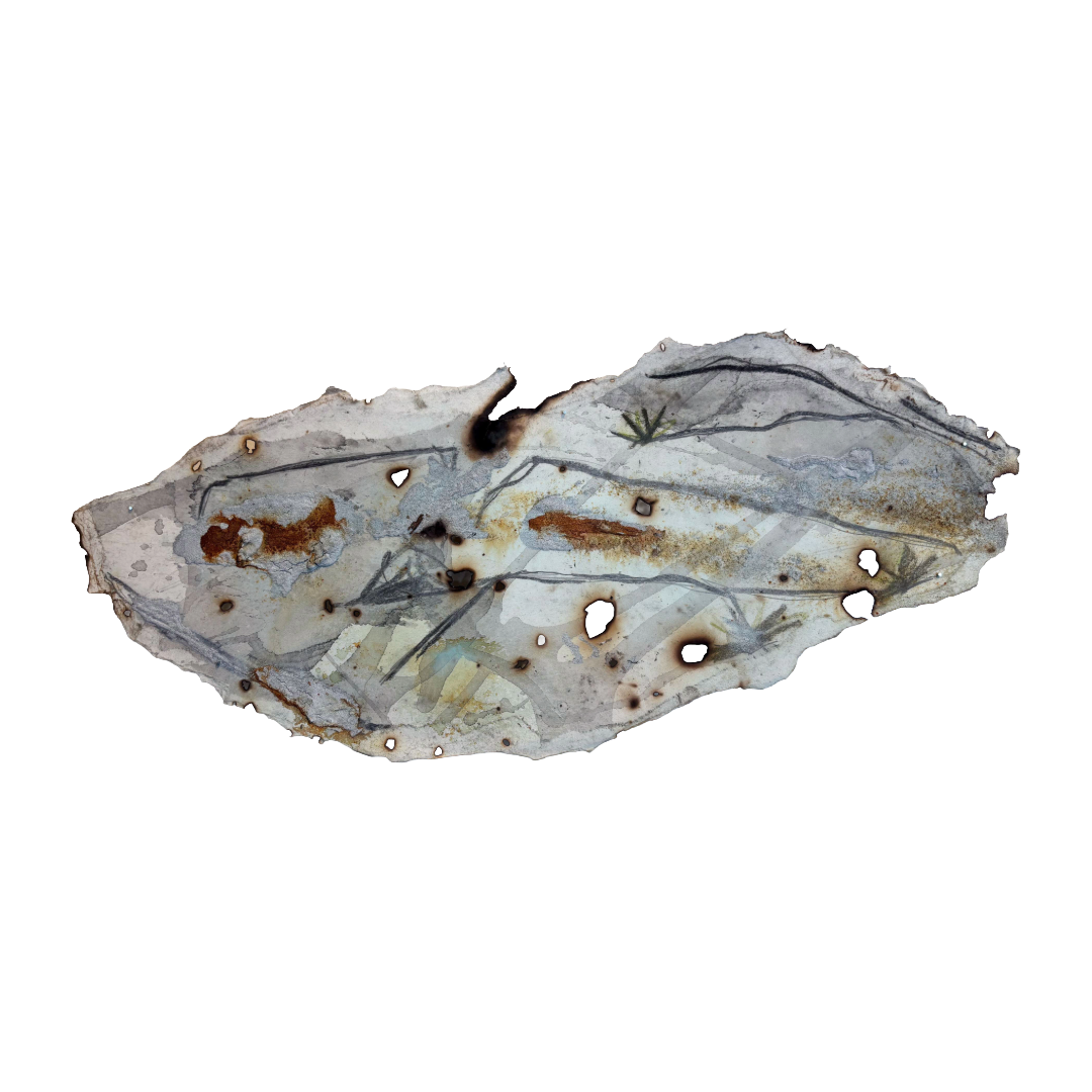 GEORGINA HUTCHINSON | ‘Scorched Escarpment – Nature's Fire Diary’ - Installation #8 | 2026 | Mixed media