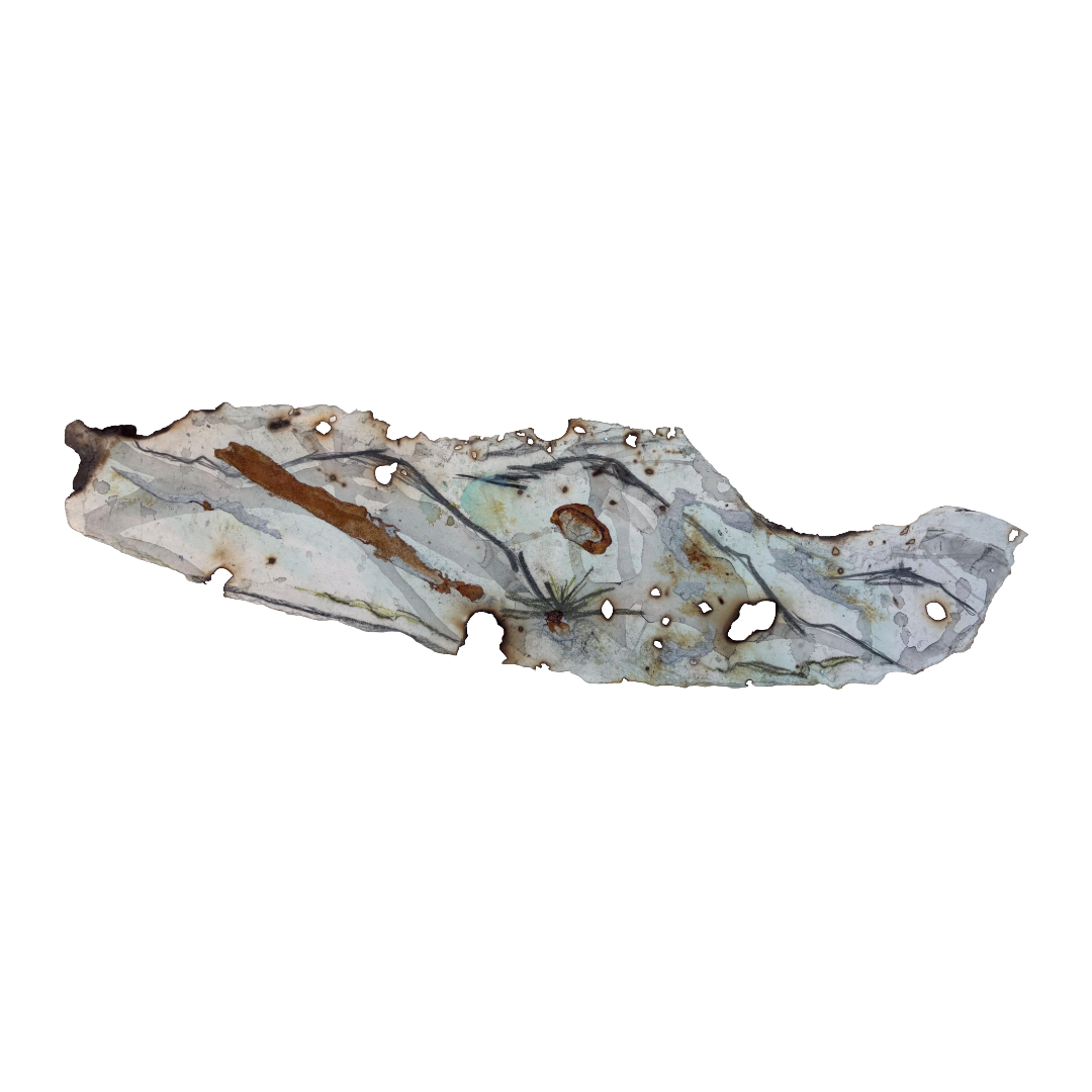GEORGINA HUTCHINSON | ‘Scorched Escarpment – Nature's Fire Diary’ - Installation #10 | 2026 | Mixed media