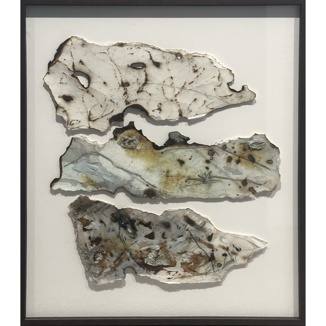 GEORGINA HUTCHINSON | ‘Scorched Escarpment – Natures Fire Diary’ 2 | 2026 | Mixed media / framed