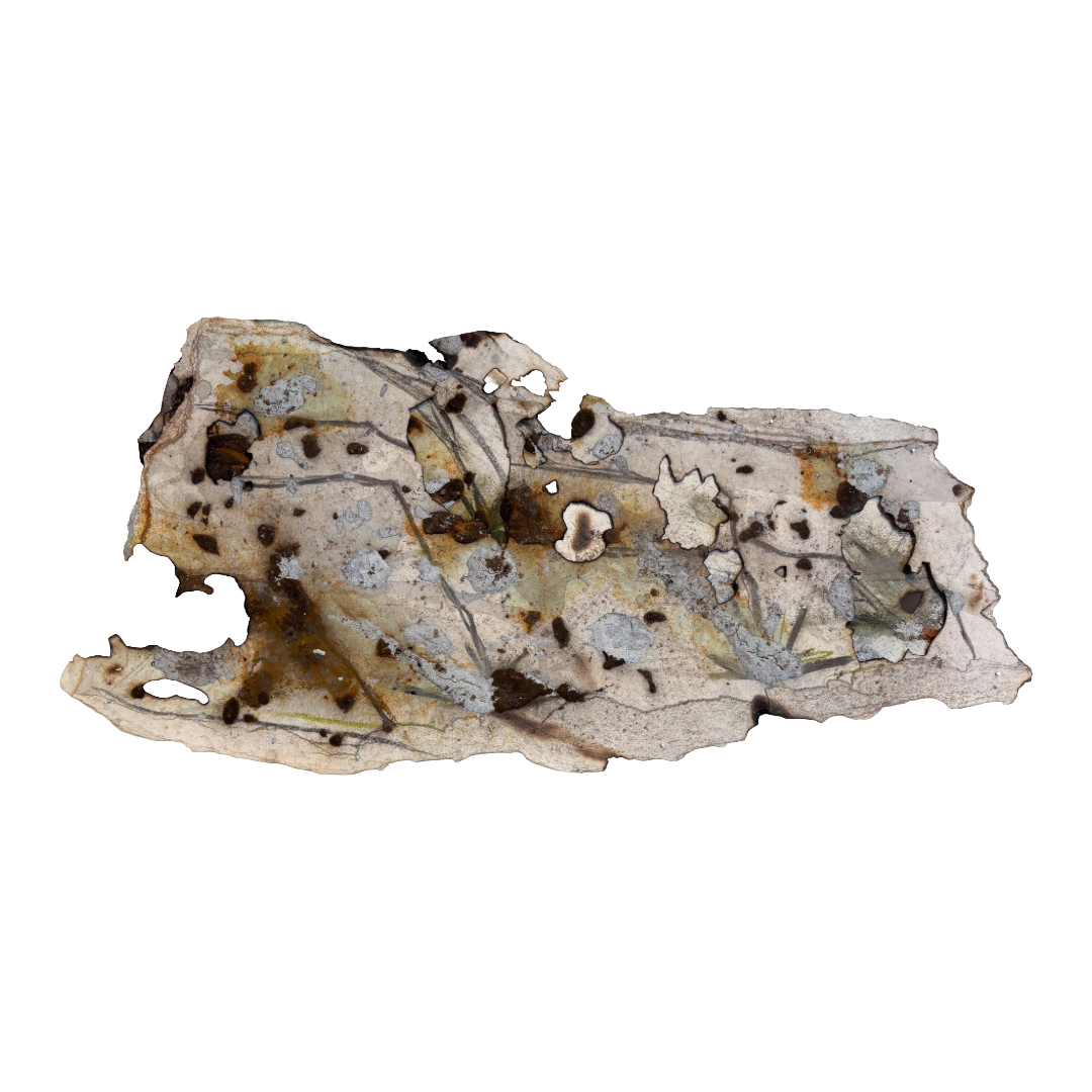 GEORGINA HUTCHINSON | ‘Scorched Escarpment – Nature's Fire Diary’ - Installation #3 | 2026 | Mixed media