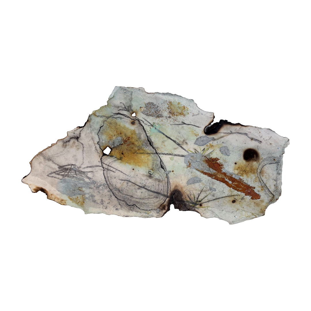 GEORGINA HUTCHINSON | ‘Scorched Escarpment – Nature's Fire Diary’ - Installation #4 | 2026 | Mixed media