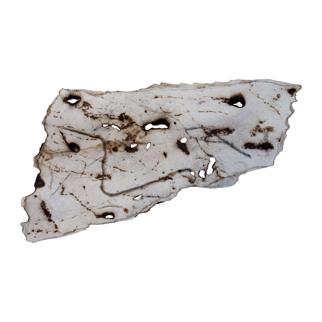 GEORGINA HUTCHINSON | ‘Scorched Escarpment – Nature's Fire Diary’ - Installation #5 | 2026 | Mixed media