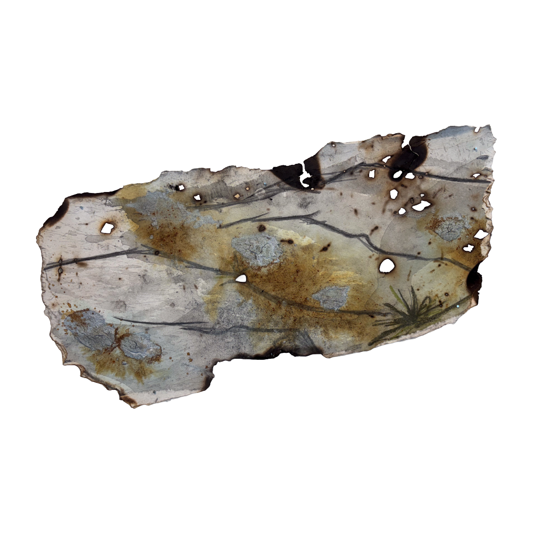 GEORGINA HUTCHINSON | ‘Scorched Escarpment – Nature's Fire Diary’ - Installation #6 | 2026 | Mixed media