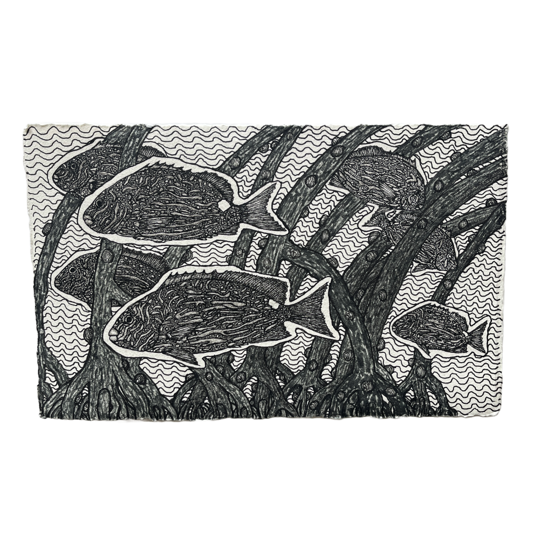 PETER B MORRISON | 'Rabbitfish in Mangrove' | 2024