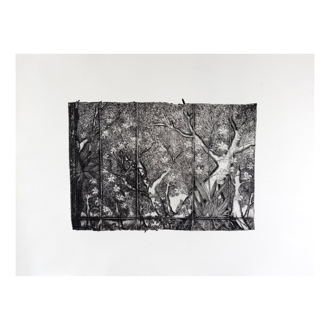 PETER B MORRISON | 'Cooktown Orchid' | Drypoint etching