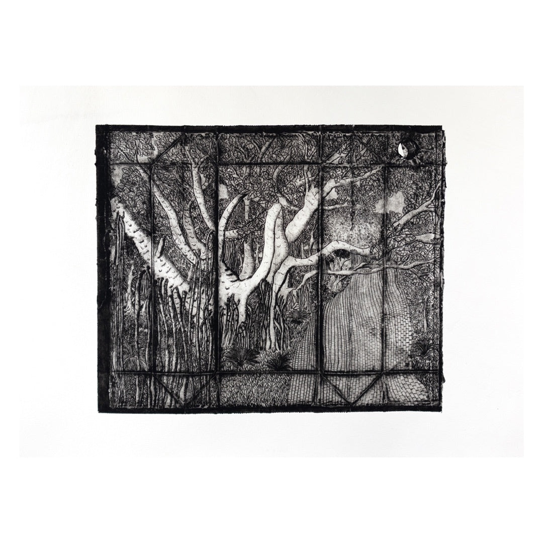 PETER B MORRISON | 'Dthani (Fig Tree)' | Drypoint etching