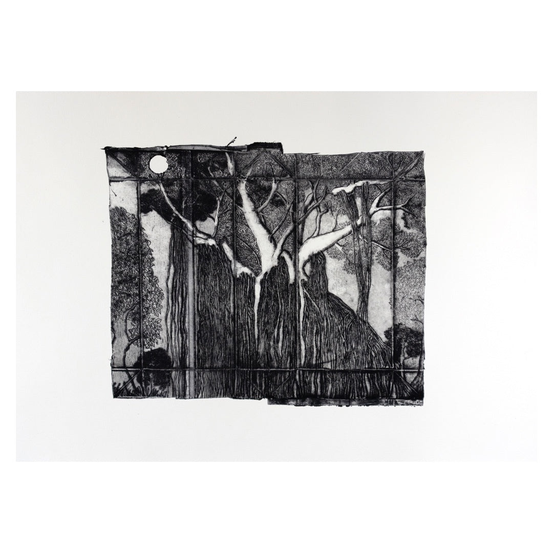 PETER B MORRISON | 'Dthani (Fig Tree) 1' | Drypoint etching