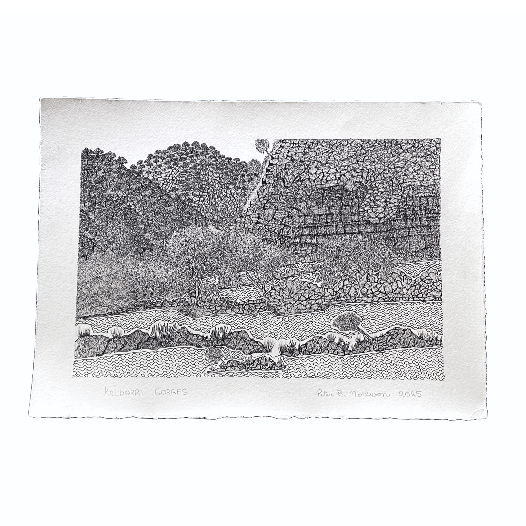 PETER BERTIE MORRISON | 'Kalbarri Gorges' | Pen + ink drawing
