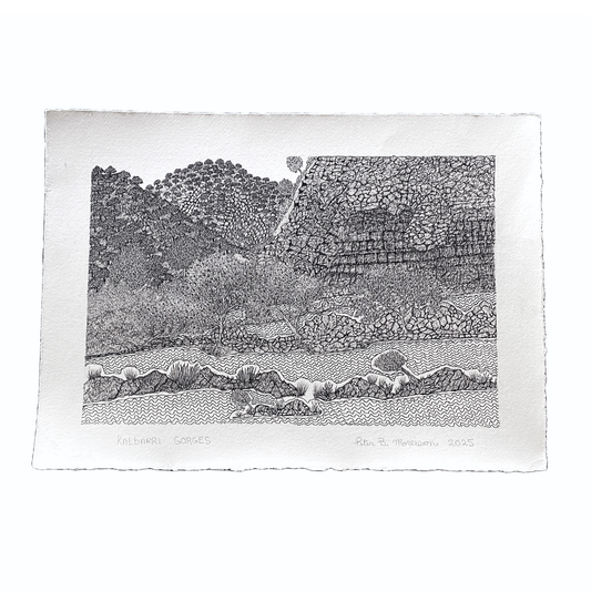 PETER BERTIE MORRISON | 'Kalbarri Gorges' | Pen + ink drawing