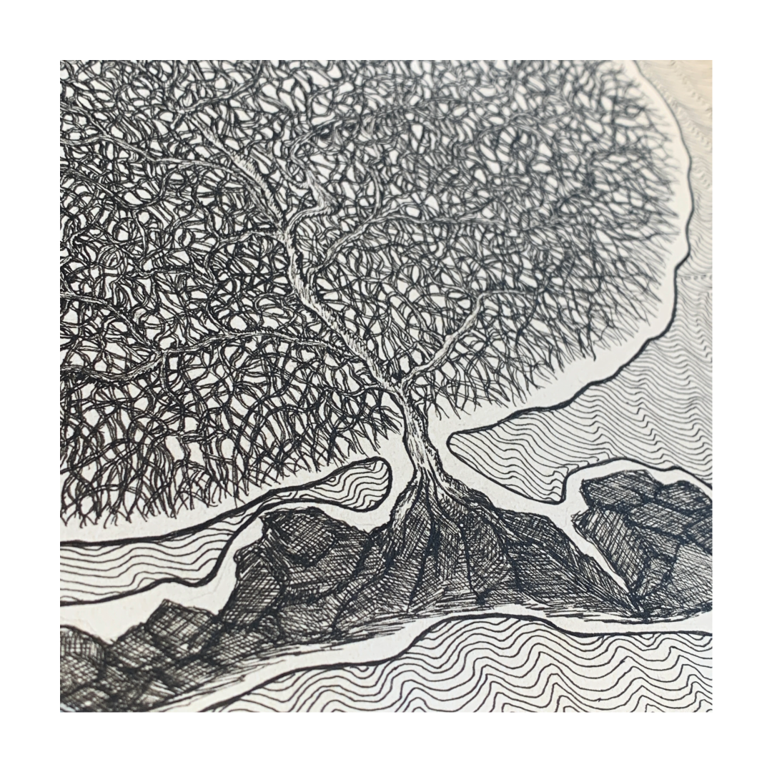 PETER B MORRISON | ‘RED SEA FAN CORAL III’ | Pen + Ink drawing