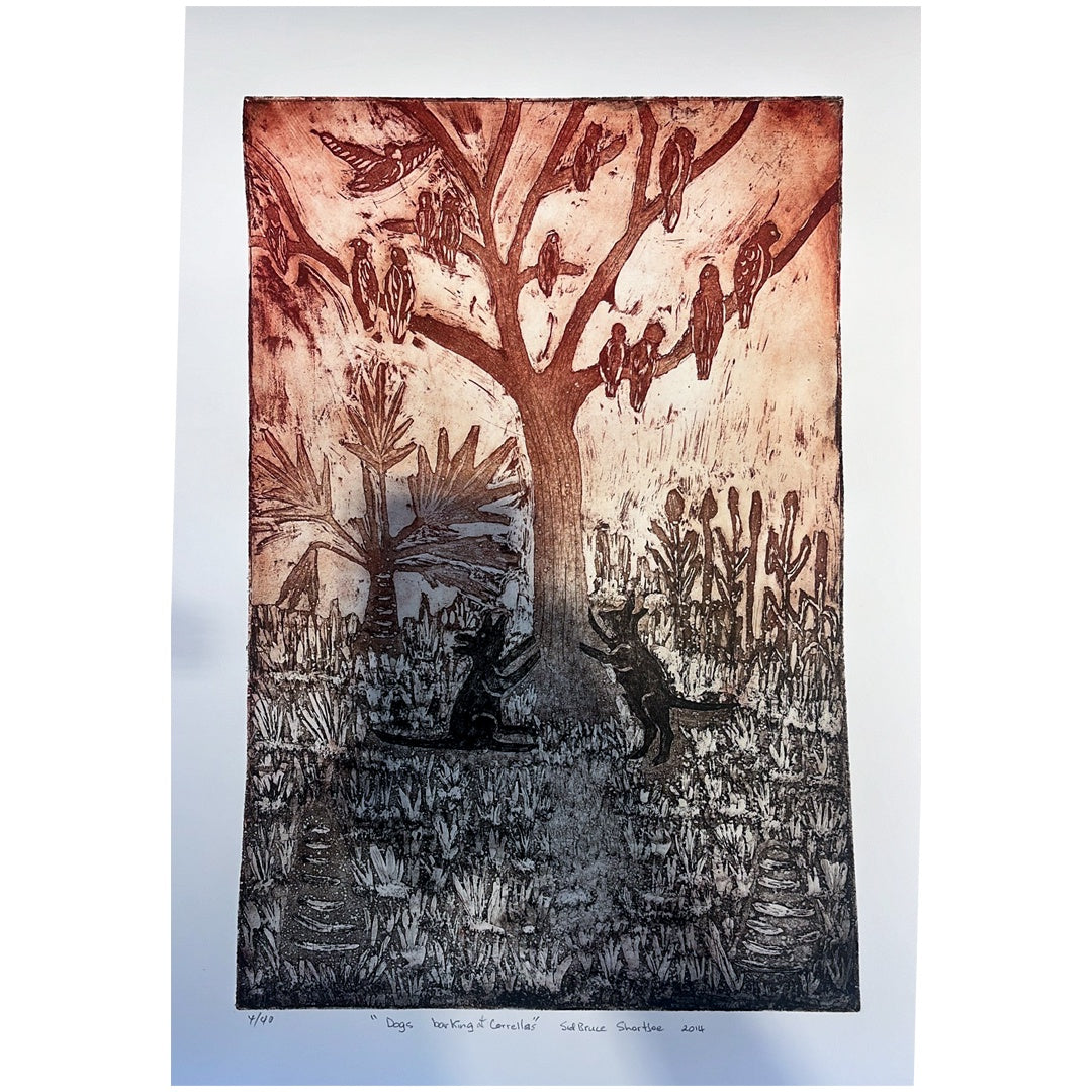 SID BRUCE SHORT JOE - Pormpuraaw Art Centre | 'Dogs Barking at Corellas' | Etching