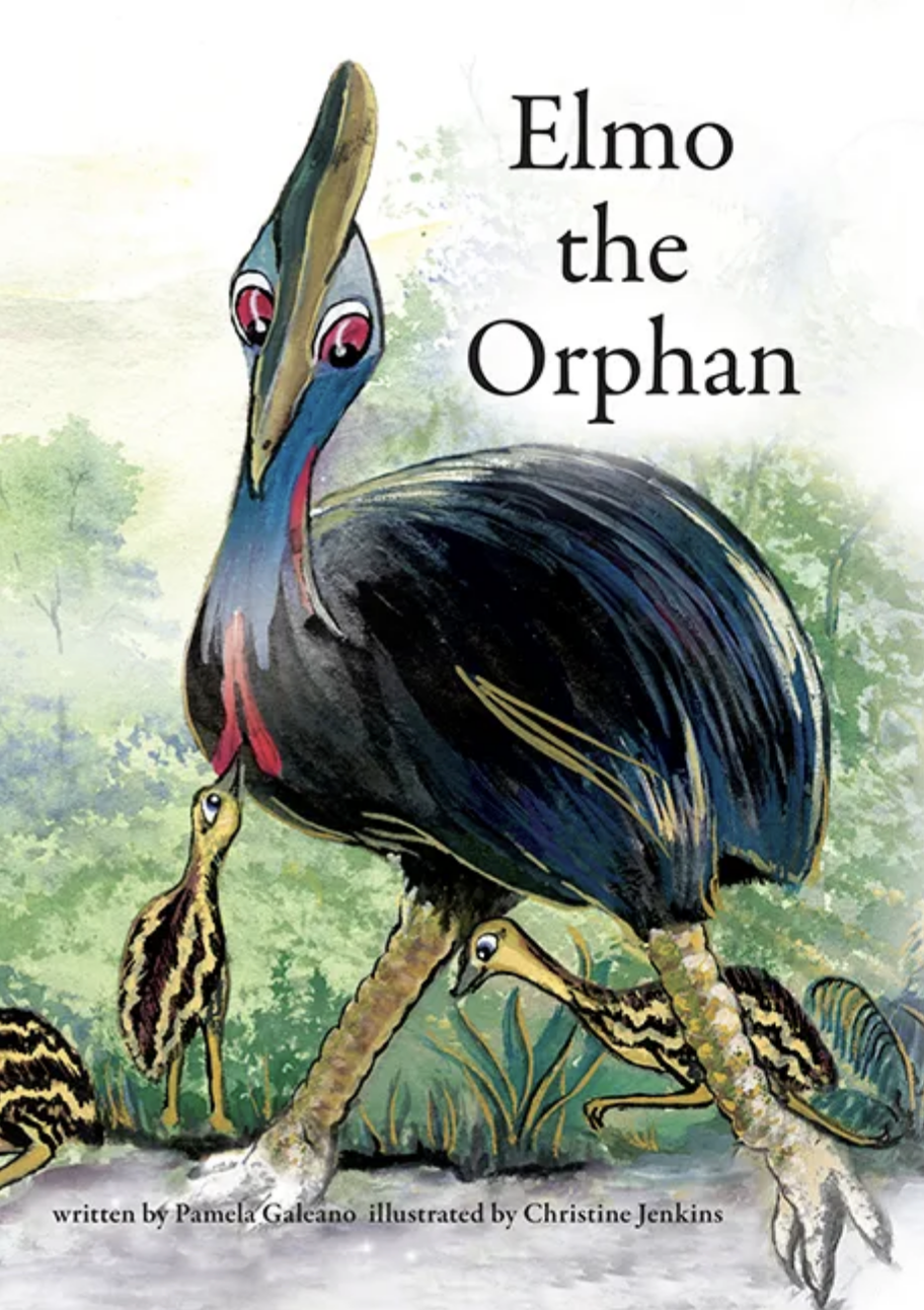 PAM GALEANO | 'Elmo The Orphan' | Illustrated Book