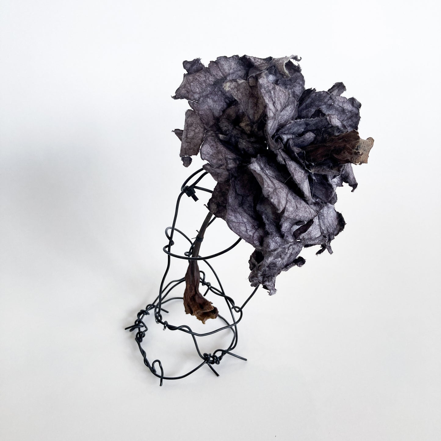 PAMELA KUSABS | ‘Simple Glory (III)’ | 2025 | Paper / dried flower heads / stalk / wire