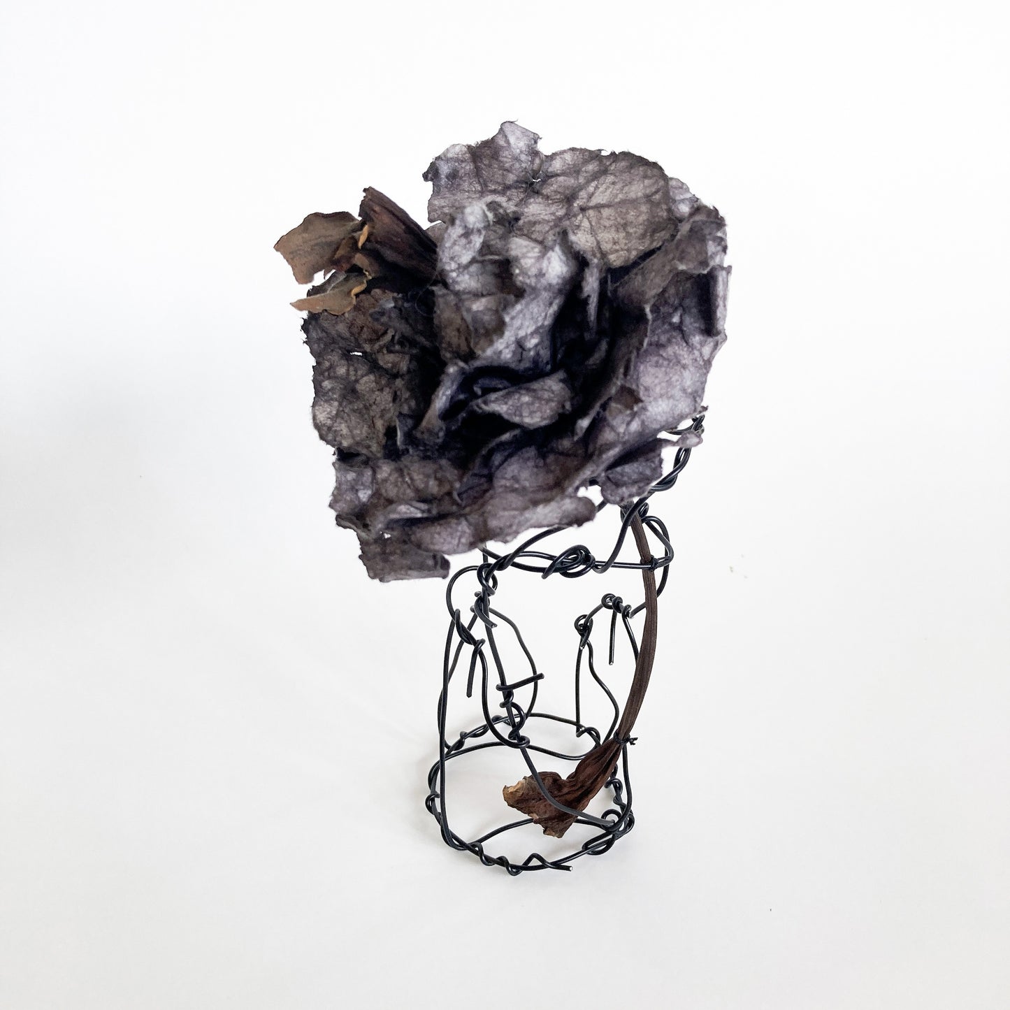 PAMELA KUSABS | ‘Simple Glory (IV)’ | 2025 | Paper / dried flower heads / stalk / wire