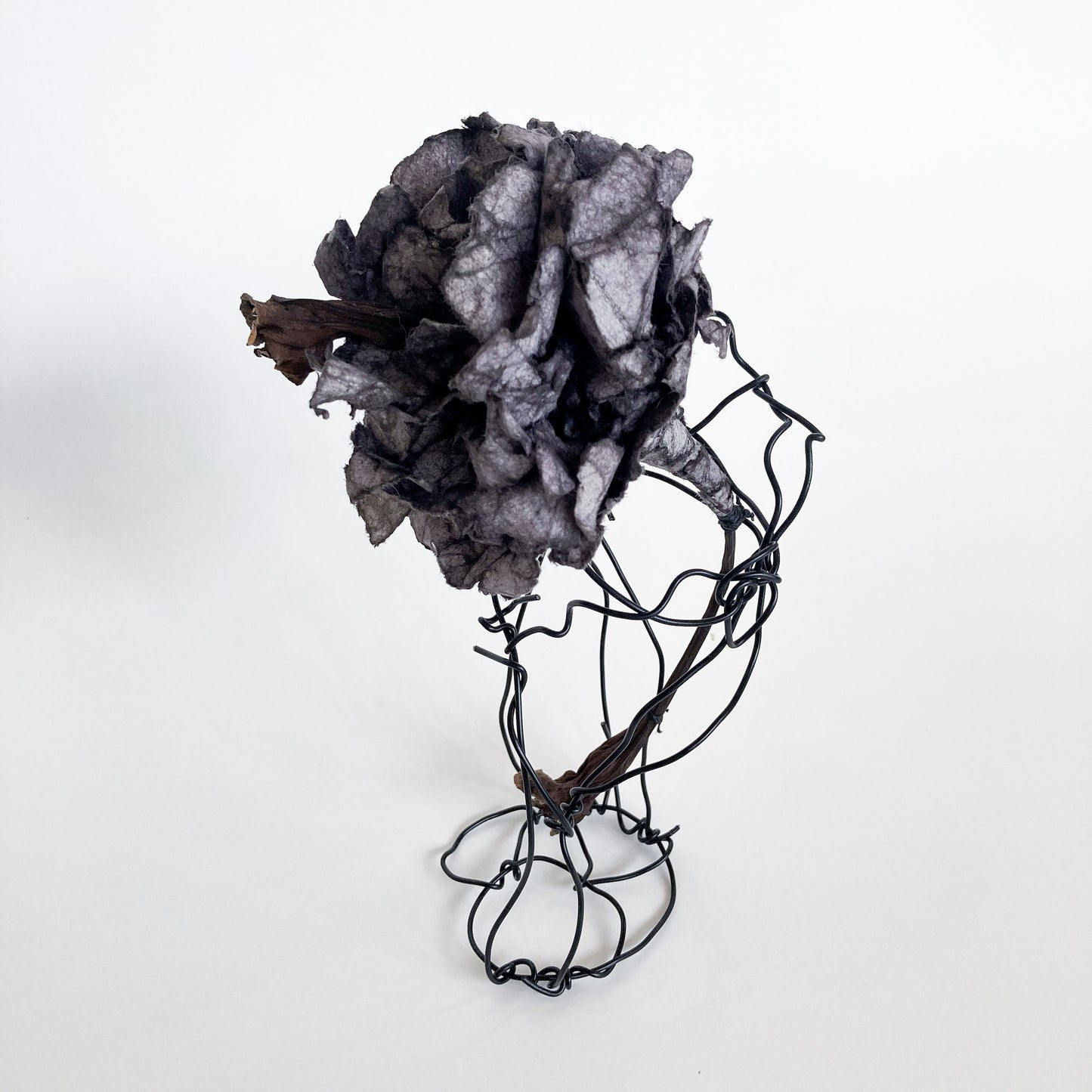 PAMELA KUSABS | ‘Simple Glory (V)’ | 2025 | Paper / dried flower heads / stalk / wire