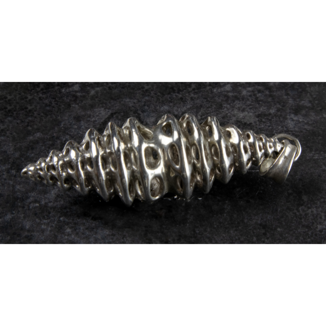 TETSUYA TABATA | Shell | 2024 | silver | H45 x W10 x D10