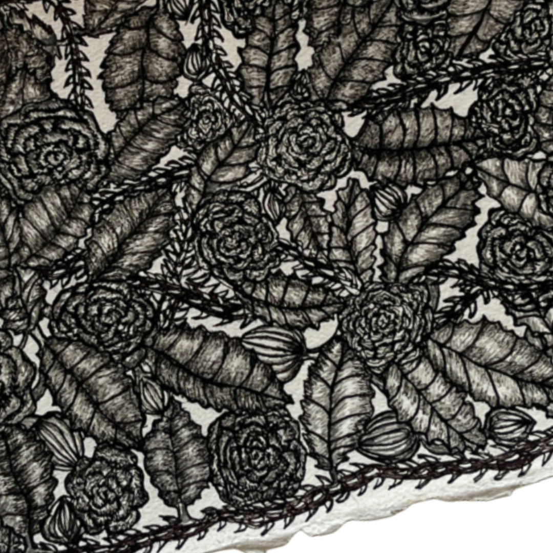 PETER B MORRISON | ‘Roses’ | Pen + Ink drawing