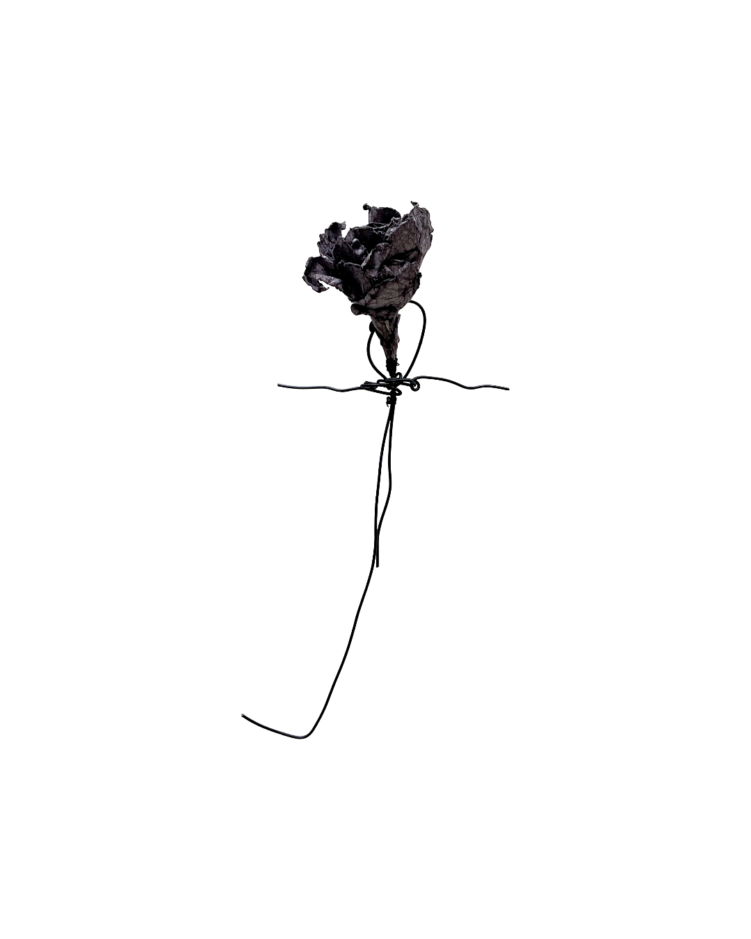 PAMELA KUSABS | ‘Budding (II)’ | 2025 | Paper / dried flower heads / stalk / wire
