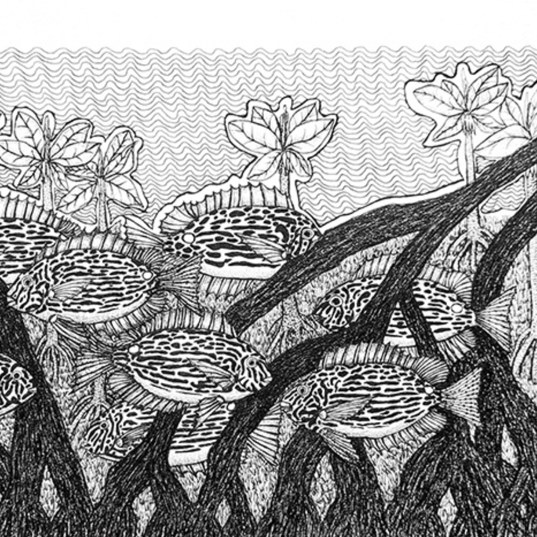 PETER BERTIE MORRISON | 'Golden Line Spine Foot' | Pen + ink drawing