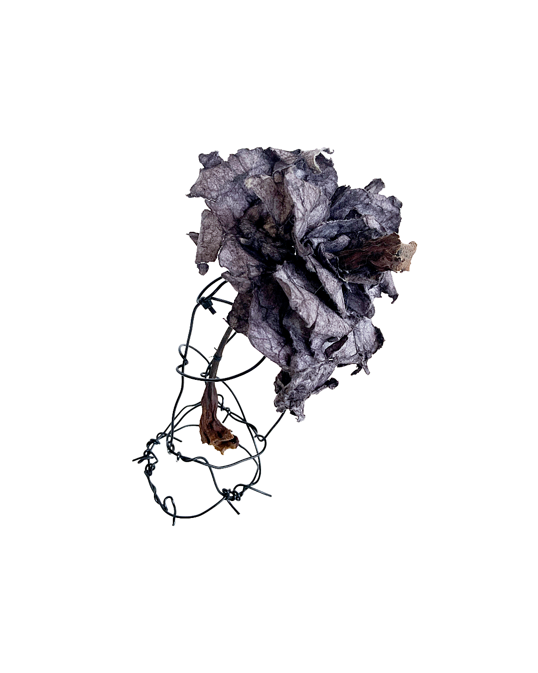 PAMELA KUSABS | ‘Simple Glory (III)’ | 2025 | Paper / dried flower heads / stalk / wire