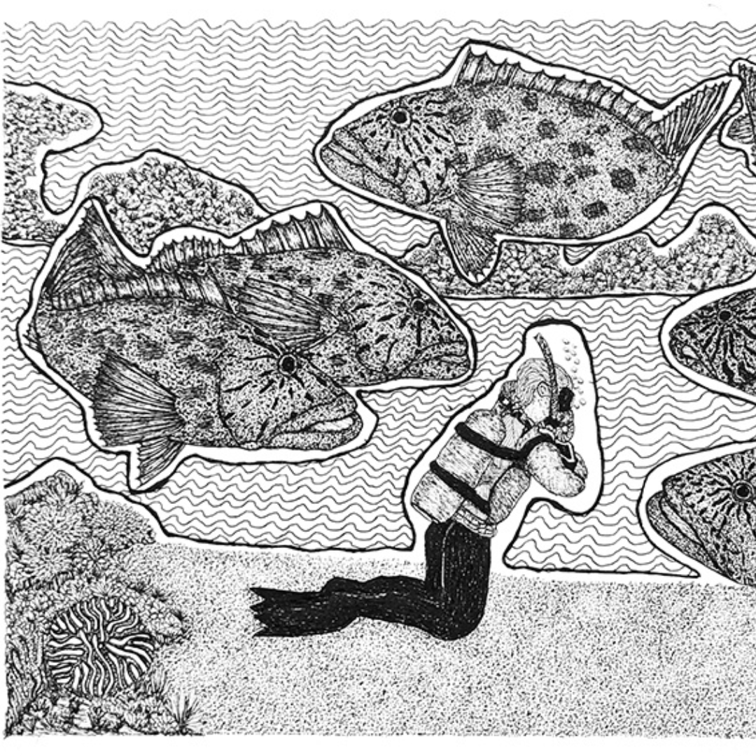 PETER B MORRISON | 'Feeding Potato Cod' | Pen + ink drawing