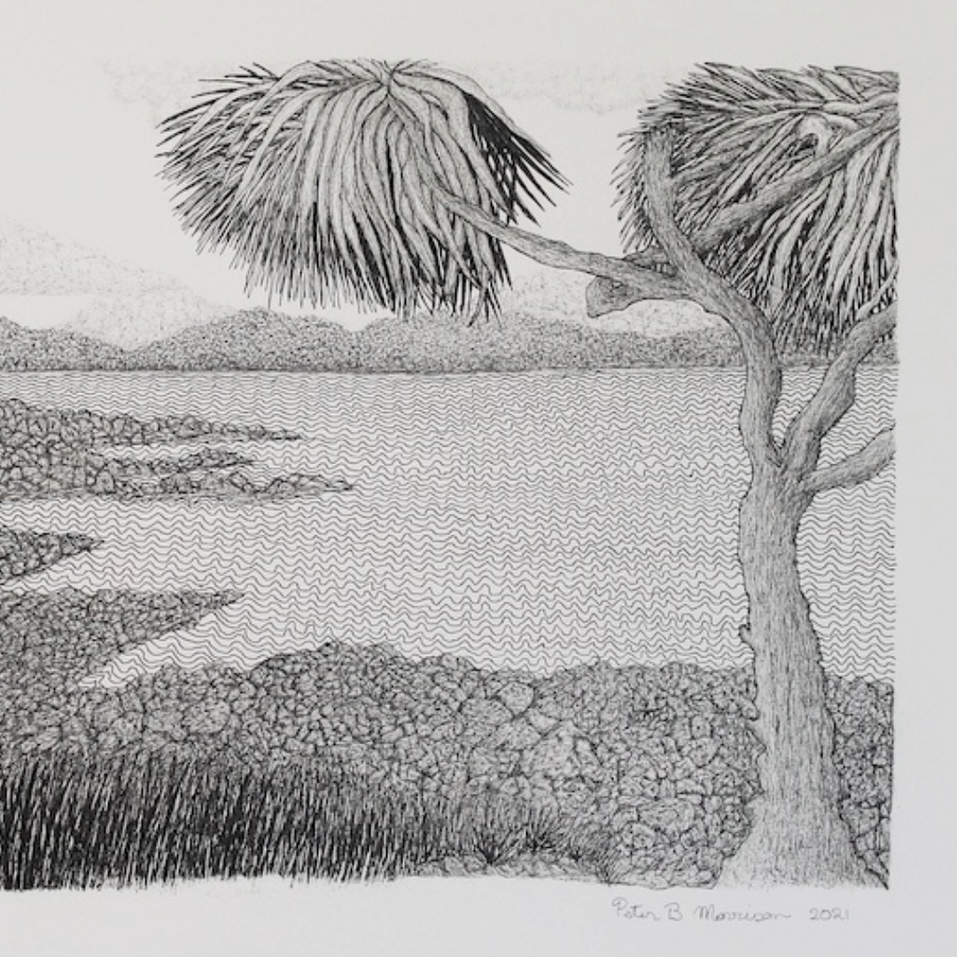 PETER B MORRISON | 'Kausa (Pandanus) III' Drawing | Pen and ink on archival paper